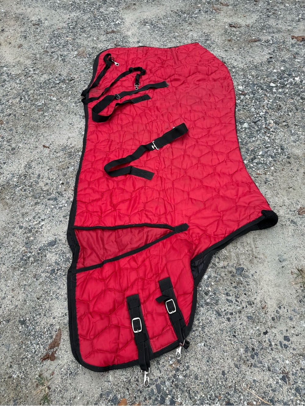 Teakey’s winter Stable blanket size 81 thick quilted RED w/ Black Trim w/straps